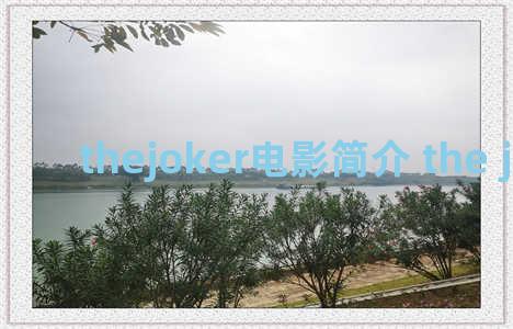 thejoker电影简介 the joker movie